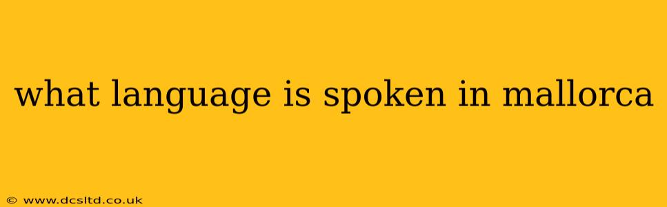 what language is spoken in mallorca
