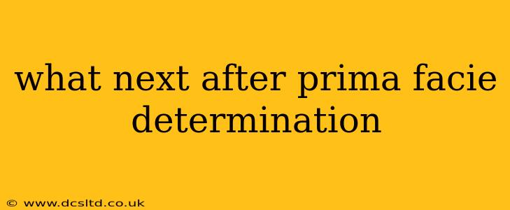 what next after prima facie determination