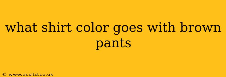 what shirt color goes with brown pants