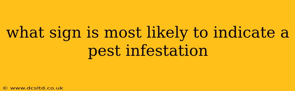 what sign is most likely to indicate a pest infestation