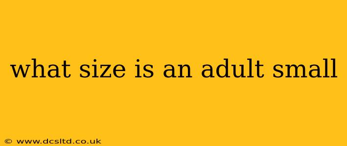 what size is an adult small