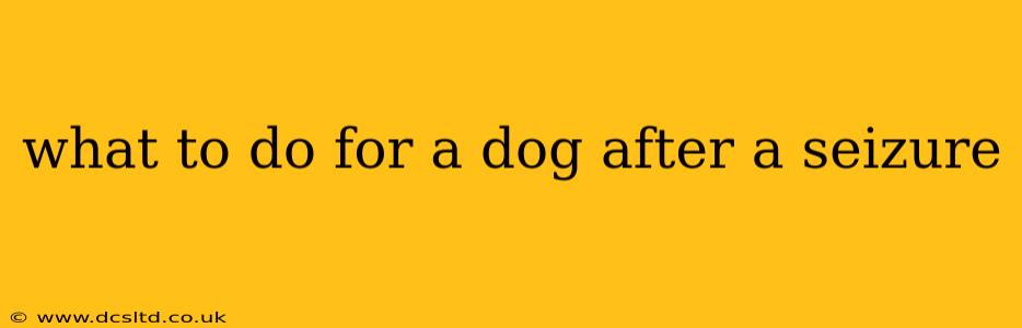 what to do for a dog after a seizure