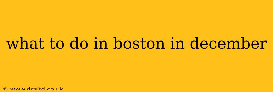 what to do in boston in december