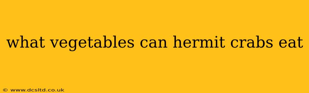 what vegetables can hermit crabs eat