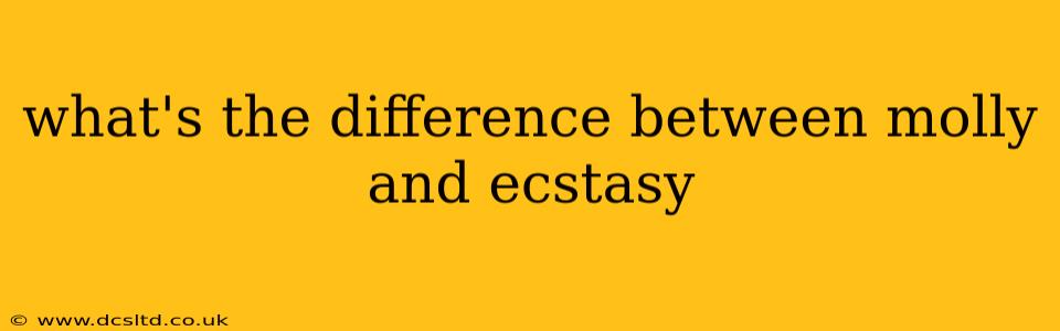 what's the difference between molly and ecstasy