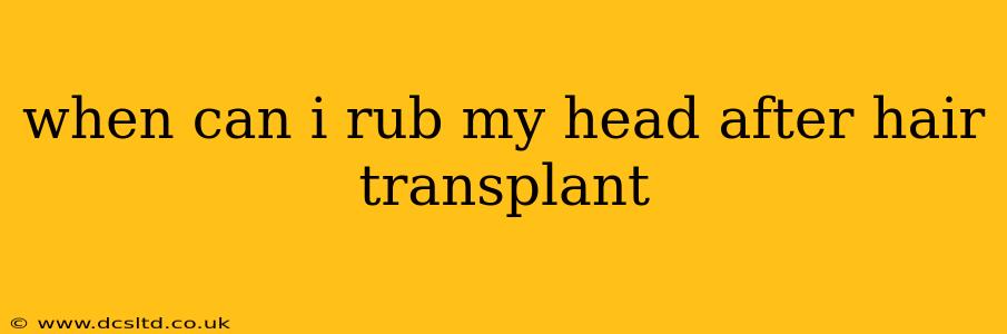 when can i rub my head after hair transplant
