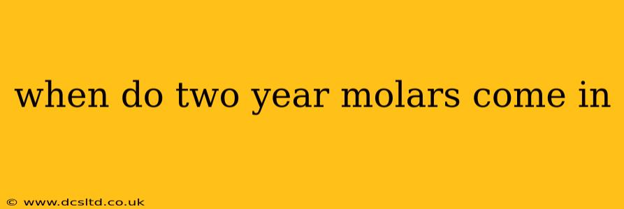 when do two year molars come in