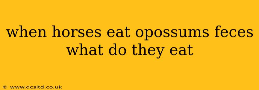 when horses eat opossums feces what do they eat