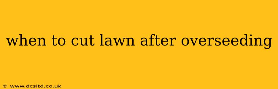 when to cut lawn after overseeding