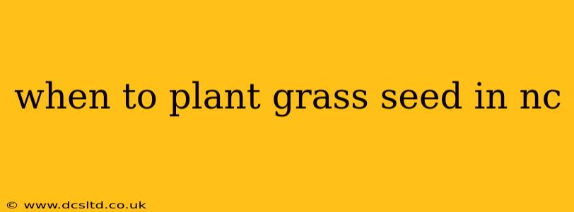 when to plant grass seed in nc