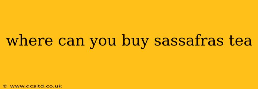 where can you buy sassafras tea