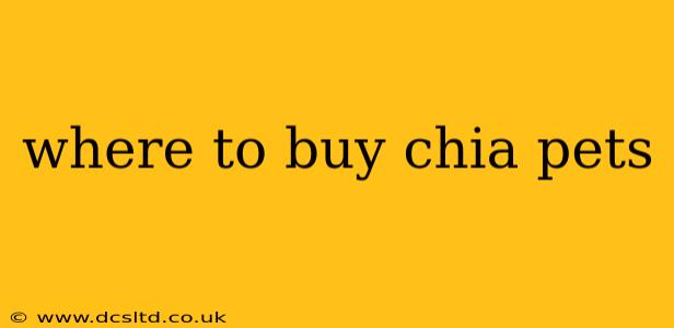 where to buy chia pets