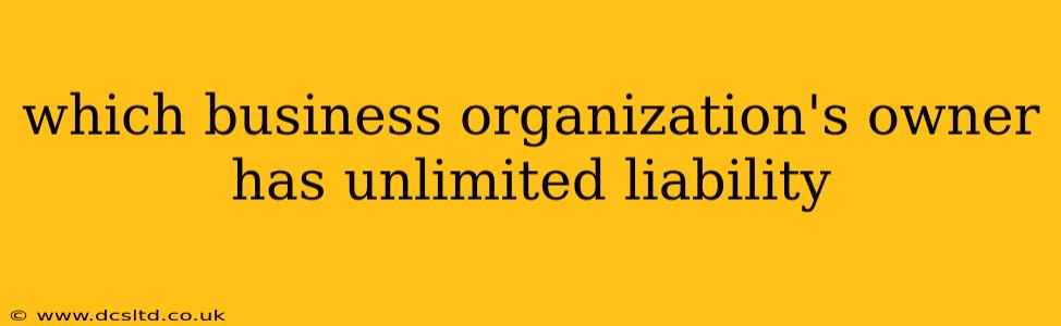 which business organization's owner has unlimited liability