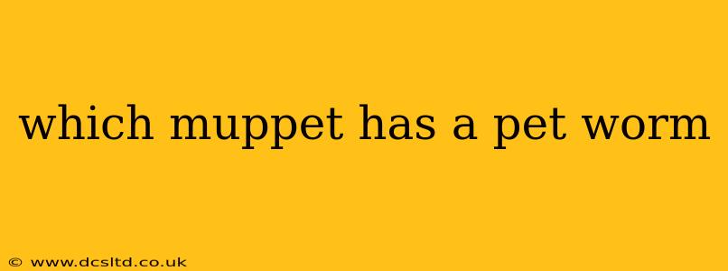 which muppet has a pet worm