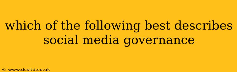 which of the following best describes social media governance