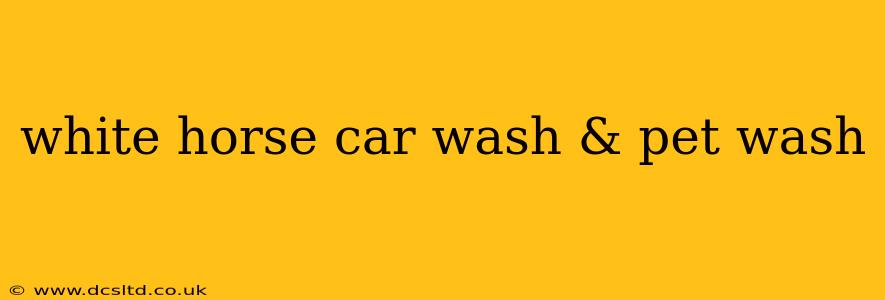 white horse car wash & pet wash