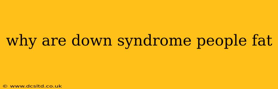 why are down syndrome people fat
