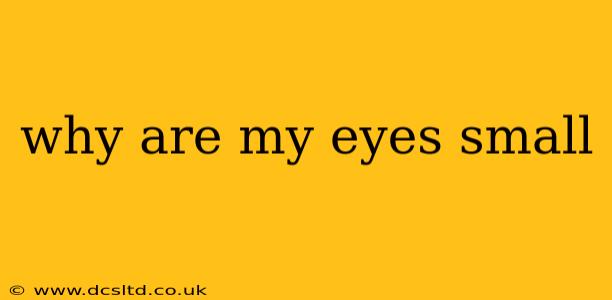 why are my eyes small
