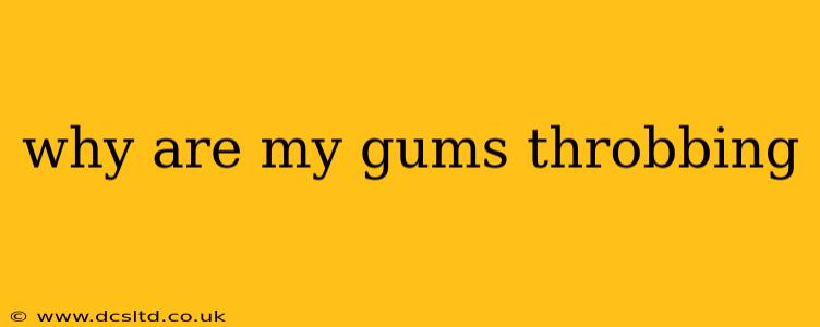 why are my gums throbbing
