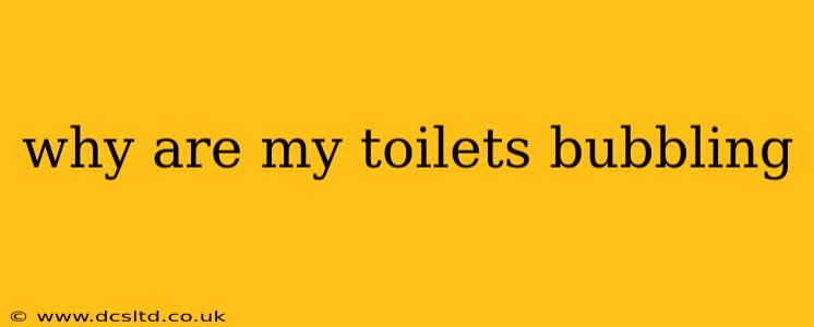 why are my toilets bubbling