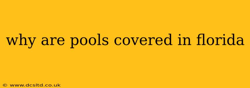 why are pools covered in florida