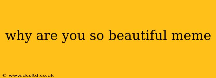 why are you so beautiful meme