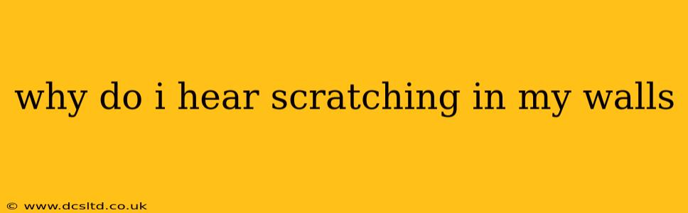 why do i hear scratching in my walls