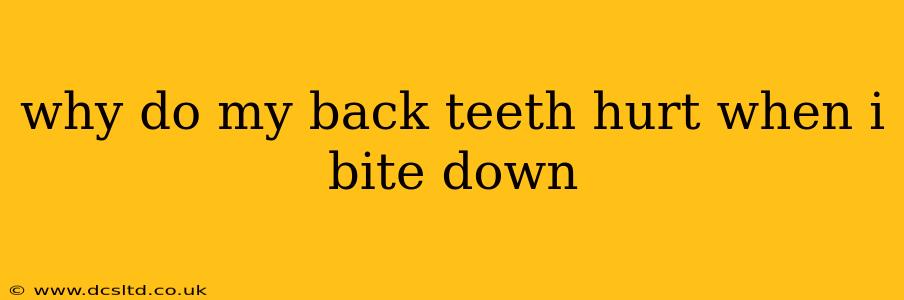 why do my back teeth hurt when i bite down
