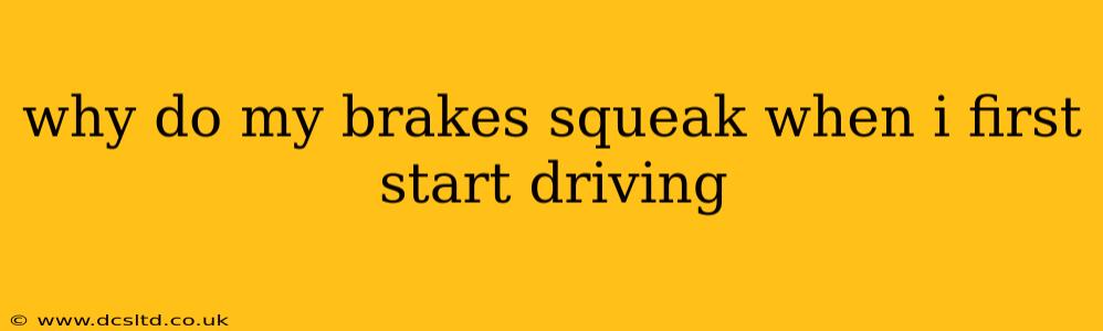 why do my brakes squeak when i first start driving