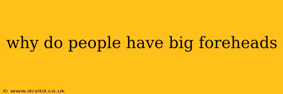 why do people have big foreheads