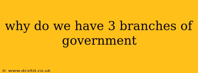 why do we have 3 branches of government