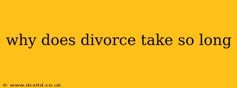 why does divorce take so long