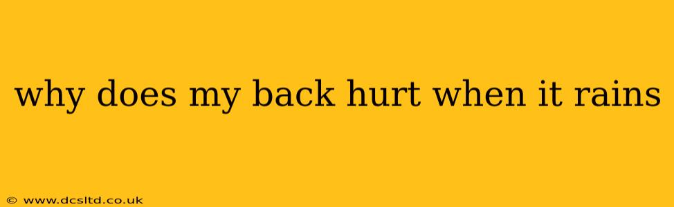 why does my back hurt when it rains