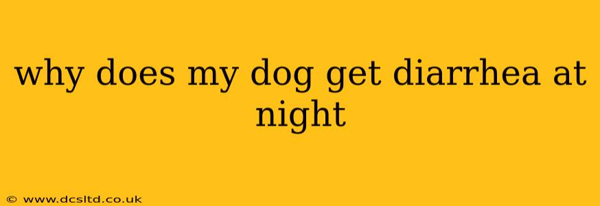 why does my dog get diarrhea at night