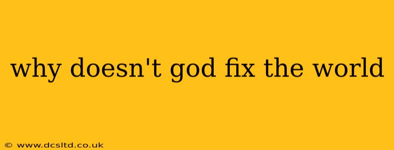 why doesn't god fix the world