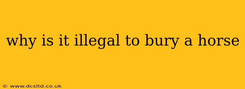 why is it illegal to bury a horse