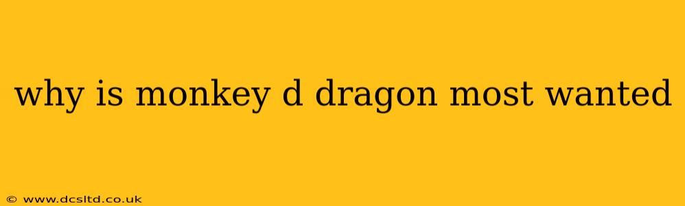 why is monkey d dragon most wanted