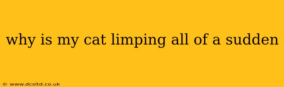 why is my cat limping all of a sudden