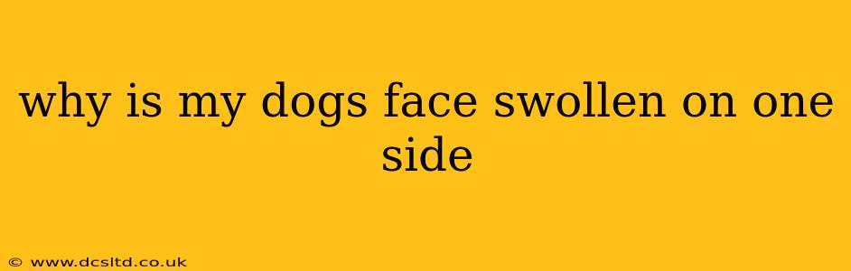 why is my dogs face swollen on one side