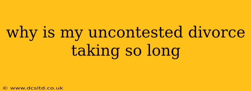 why is my uncontested divorce taking so long