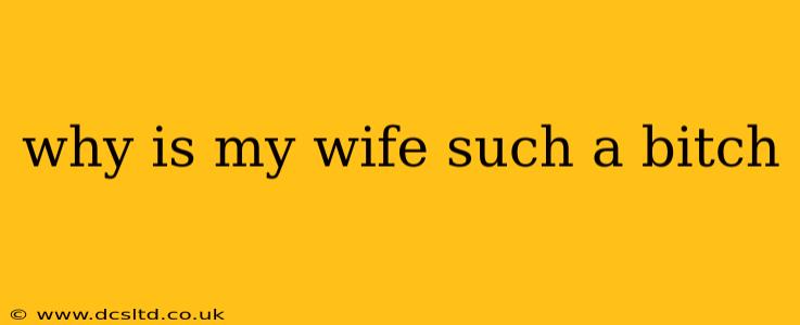 why is my wife such a bitch