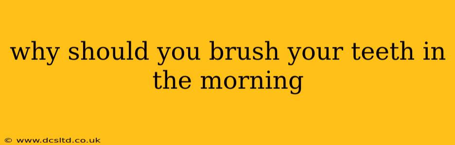 why should you brush your teeth in the morning