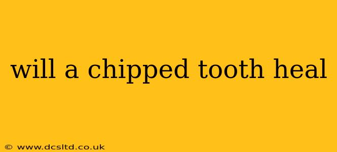 will a chipped tooth heal