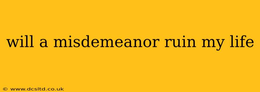 will a misdemeanor ruin my life