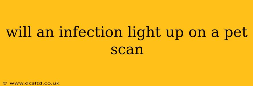 will an infection light up on a pet scan