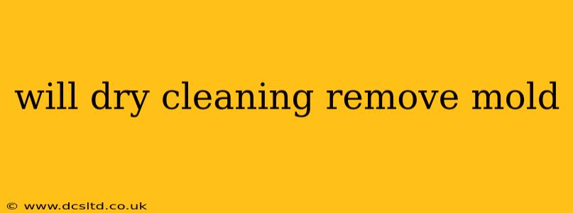 will dry cleaning remove mold