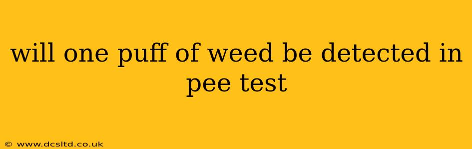 will one puff of weed be detected in pee test