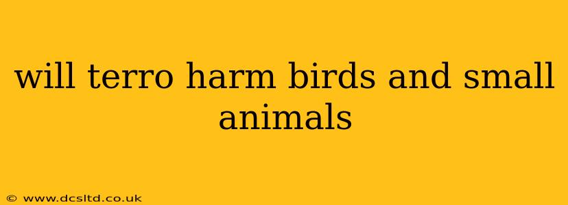 will terro harm birds and small animals