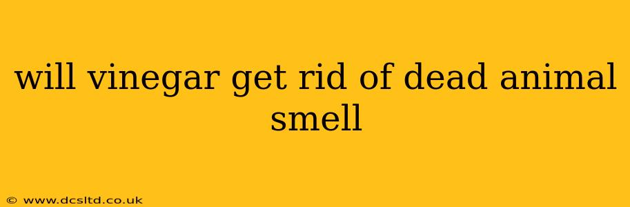 will vinegar get rid of dead animal smell