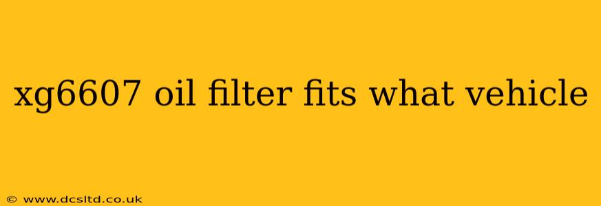 xg6607 oil filter fits what vehicle